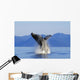Humpback Whale Breaching In Inside Passage Se Ak Summer Wall Mural