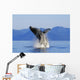 Humpback Whale Breaching In Inside Passage Se Ak Summer Wall Mural