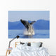 Humpback Whale Breaching In Inside Passage Se Ak Summer Wall Mural