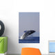 Humpback Whale Breaching In Inside Passage Se Ak Summer Backlit Wall Mural