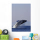 Humpback Whale Breaching In Inside Passage Se Ak Summer Backlit Wall Mural