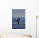Humpback Whale Fluke Out Of Water Inside Passage Wall Mural