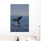 Humpback Whale Fluke Out Of Water Inside Passage Wall Mural