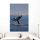 Humpback Whale Fluke Out Of Water Inside Passage Wall Mural