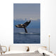 Humpback Whale Fluke Out Of Water Inside Passage Wall Mural