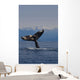 Humpback Whale Fluke Out Of Water Inside Passage Wall Mural