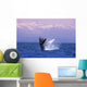 Humpback Breaching Wall Mural