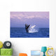 Humpback Breaching Wall Mural