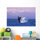 Humpback Breaching Wall Mural