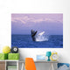 Humpback Breaching Wall Mural