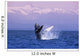Humpback Breaching Wall Mural
