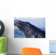 Closeup Of Humpback Whale Breaching Wall Mural