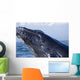 Closeup Of Humpback Whale Breaching Wall Mural