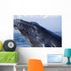 Closeup Of Humpback Whale Breaching Wall Mural