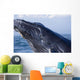 Closeup Of Humpback Whale Breaching Wall Mural