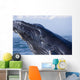 Closeup Of Humpback Whale Breaching Wall Mural
