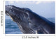 Closeup Of Humpback Whale Breaching Wall Mural