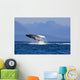 Humpback Whale Wall Mural