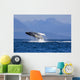 Humpback Whale Wall Mural