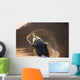 Humpback Whale Breaching Wall Mural