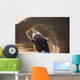 Humpback Whale Breaching Wall Mural