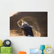Humpback Whale Breaching Wall Mural
