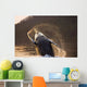 Humpback Whale Breaching Wall Mural