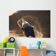 Humpback Whale Breaching Wall Mural