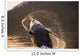 Humpback Whale Breaching Wall Mural