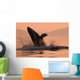 Humpback Whale Breaching At Sunset Wall Mural