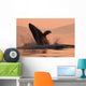 Humpback Whale Breaching At Sunset Wall Mural
