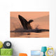 Humpback Whale Breaching At Sunset Wall Mural