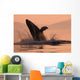 Humpback Whale Breaching At Sunset Wall Mural