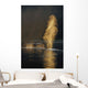 Pair Of Humpback Whales Swimming Wall Mural