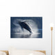 Humpback Whale Breaching In The Waters Of The Inside Passage Wall Mural
