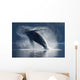 Humpback Whale Breaching In The Waters Of The Inside Passage Wall Mural