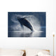 Humpback Whale Breaching In The Waters Of The Inside Passage Wall Mural