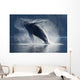 Humpback Whale Breaching In The Waters Of The Inside Passage Wall Mural