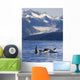Pod Of Orca Whales Surfacing Wall Mural