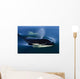 Orca Whale Surfaces In Lynn Canal, Inside Passage, Alaska Wall Mural