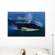 Orca Whale Surfaces In Lynn Canal, Inside Passage, Alaska Wall Mural