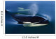 Orca Whale Surfaces In Lynn Canal, Inside Passage, Alaska Wall Mural