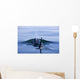 Orca Whale Surfaces In Lynn Canal, Inside Passage, Alaska Wall Mural