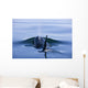 Orca Whale Surfaces In Lynn Canal, Inside Passage, Alaska Wall Mural