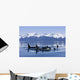 Orca Surface In Lynn Canal Near Juneau With Coast Range Beyond Wall Mural