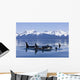 Orca Surface In Lynn Canal Near Juneau With Coast Range Beyond Wall Mural
