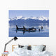 Orca Surface In Lynn Canal Near Juneau With Coast Range Beyond Wall Mural