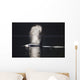 Orca Whale Surfaces Along A Forested Shoreline Wall Mural