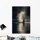 An Orca Whale Exhales As It Surfaces In Alaska's Inside Passage Wall Mural