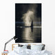 An Orca Whale Exhales As It Surfaces In Alaska's Inside Passage Wall Mural
